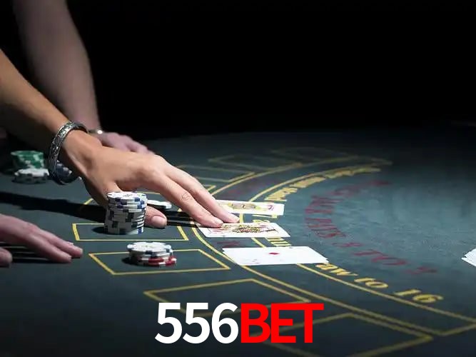 556BET Curitiba - Statistics